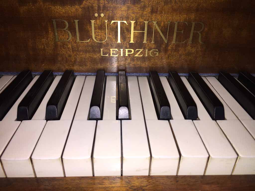 Bluthner Pianos-Pianos for Sale